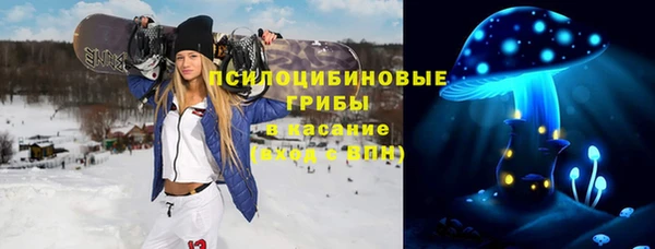 тгк Карпинск