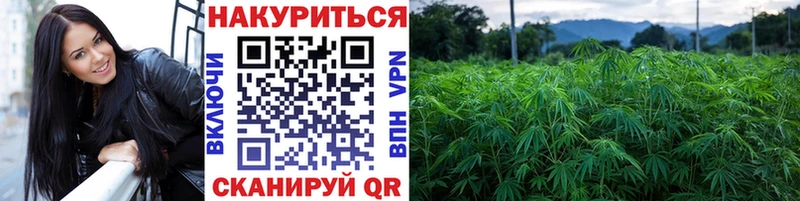 Канабис THC 21%  Купить закладки  Правдинск 